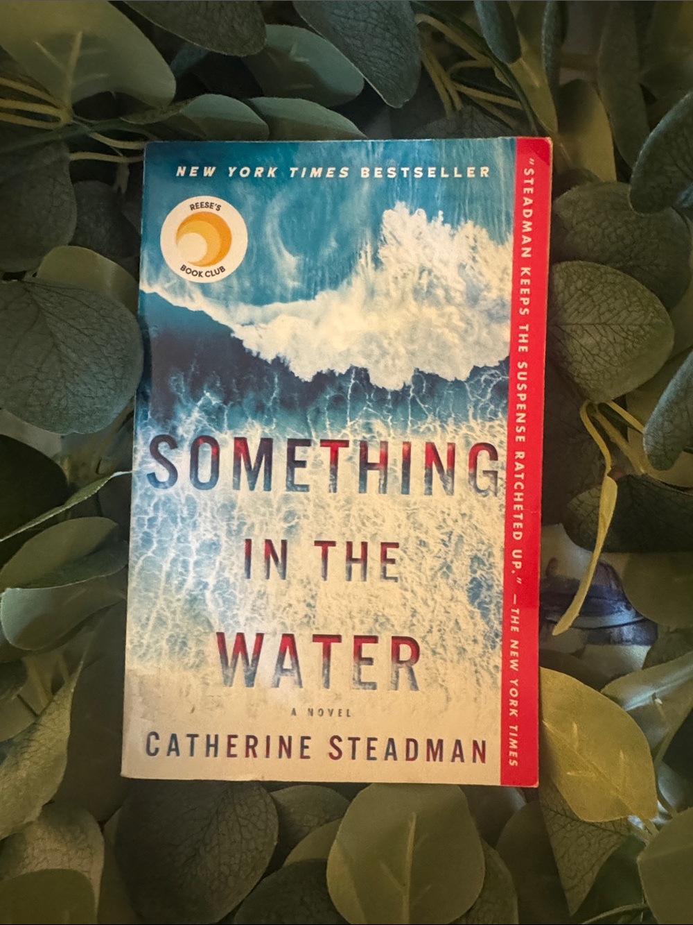 Something in the Water by Catherine Steadman